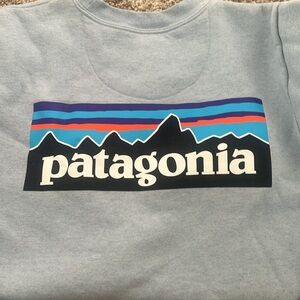 Patagonia Unisex Blue Sweater